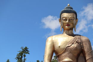 揭秘剃须刀界的老寿星—最早的品牌探秘之旅