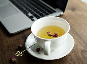 长春茶叶品牌策划招聘大揭秘，寻找懂茶懂市场的你！