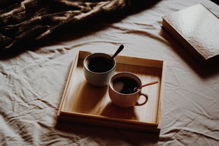 书法水杯推荐品牌大全集品味书法之美，从一杯清水开始