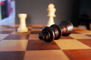 品牌玩具棋，玩转童年的智慧之选