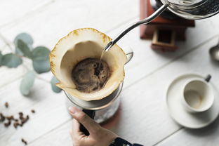 冲泡奶茶品牌推荐知乎，热门奶茶品牌大盘点