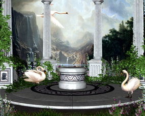 梦幻森林瓷砖品牌现状与案例分析