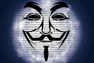 盘点那些鼠标界的百万富翁，百万以上鼠标品牌的秘密大揭秘！