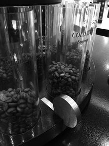 黑白色珍珠奶茶品牌推荐，你绝对不能错过的经典口味