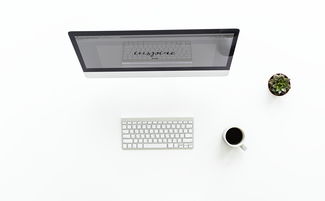 乐生扫地机品牌型号全面解析