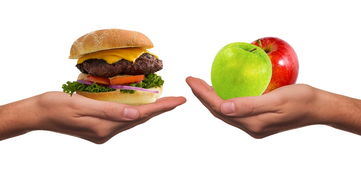 探索健康饮食的黄金伙伴—三种最佳食用油品牌