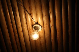 揭秘全球顶级佛灯具品牌