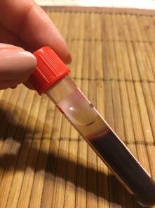 最好用的奶嘴刷子品牌大解析