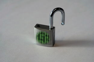 门锁的品牌卧室，安全与品质的双重守护