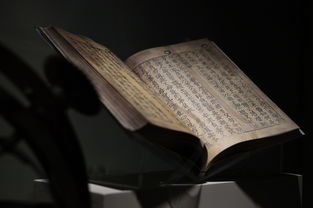 书法教学系统品牌加盟，开启你的书法教育新篇章