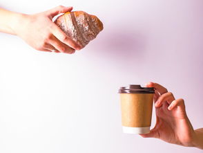 超耐用的铲子品牌排行榜—你值得拥有的品质工具