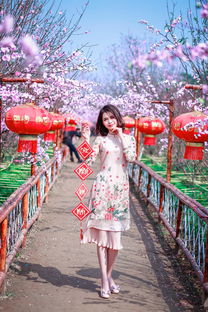芳柔品牌旗袍—传统之美，现代之韵
