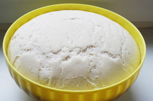 食用油品牌的可替代性分析