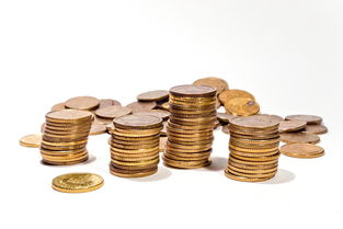 探索黄金魅力，挑选你的专属金手链