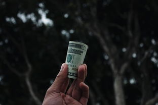 发胶喷雾大比拼，哪种品牌才是你的心头好？