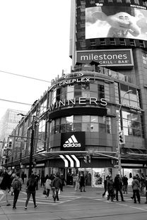 扬州商城门窗品牌店深度解析