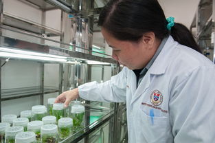 生物专业电脑品牌推荐，助力科研与教学的得力助手