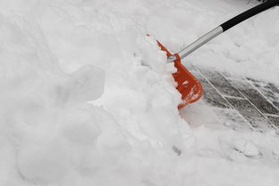 冬日里的科技暖阳—揭秘扫雪机器人品牌，让清洁更智能！