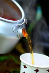 揭秘双筒水杯品牌，实用与美观的完美结合