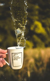 揭秘水杯界的奢华代表—水杯高档杯子品牌大盘点